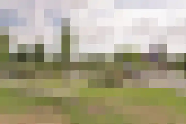 Klaproos 12 Dongen thumbnail 9