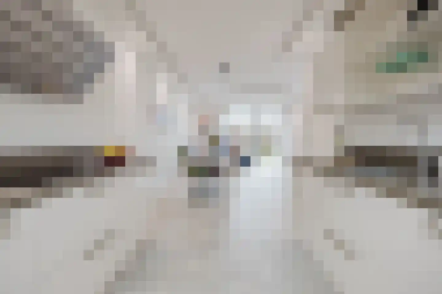 Klaproos 127 Gorinchem thumbnail 13