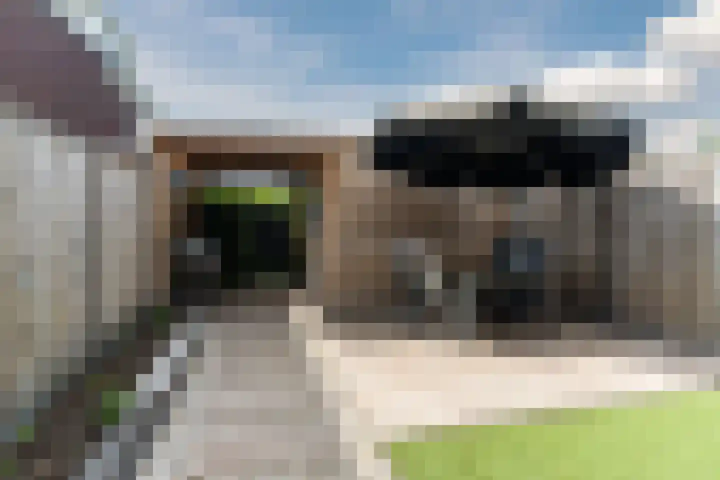 Klaproos 127 Gorinchem thumbnail 16