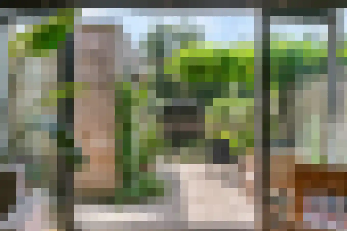Klaproos 13 Ouderkerk aan de Amstel thumbnail 13