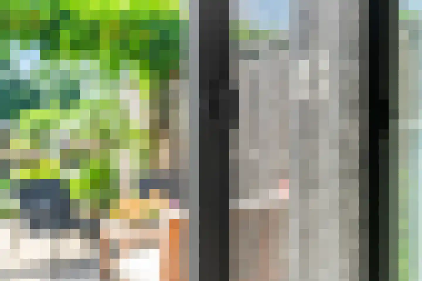 Klaproos 13 Ouderkerk aan de Amstel thumbnail 14