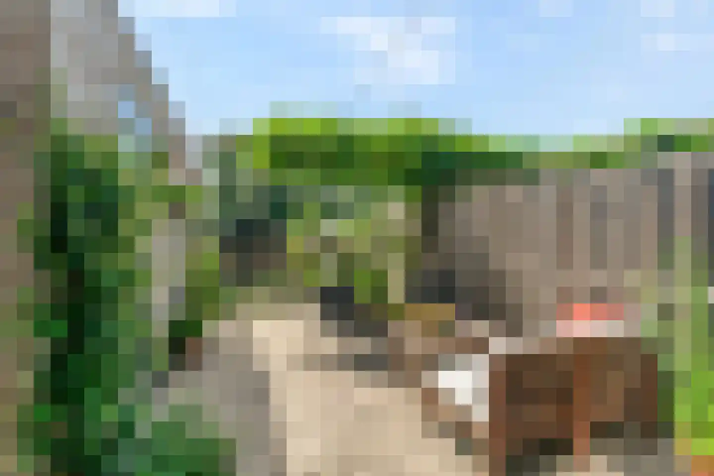 Klaproos 13 Ouderkerk aan de Amstel thumbnail 15