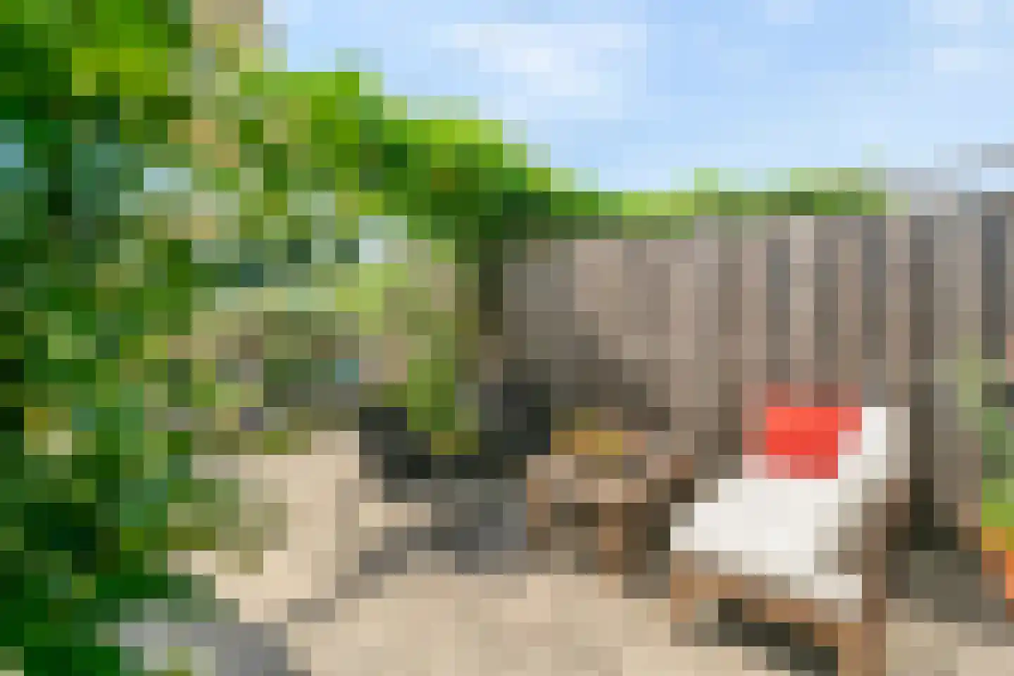 Klaproos 13 Ouderkerk aan de Amstel thumbnail 18