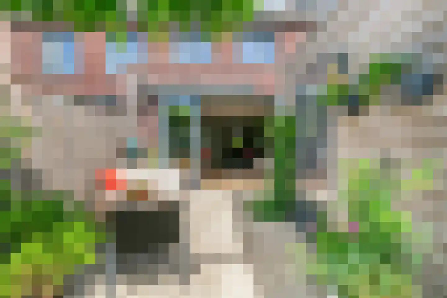 Klaproos 13 Ouderkerk aan de Amstel thumbnail 19