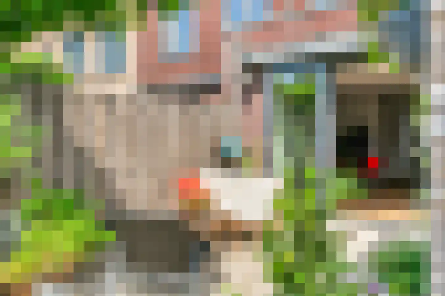 Klaproos 13 Ouderkerk aan de Amstel thumbnail 20