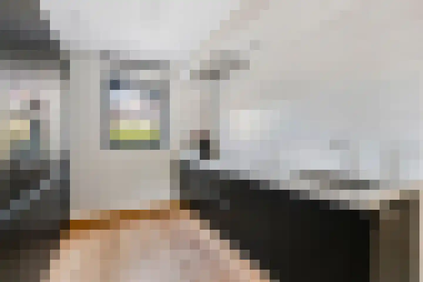 Klaproos 13 Ouderkerk aan de Amstel thumbnail 23