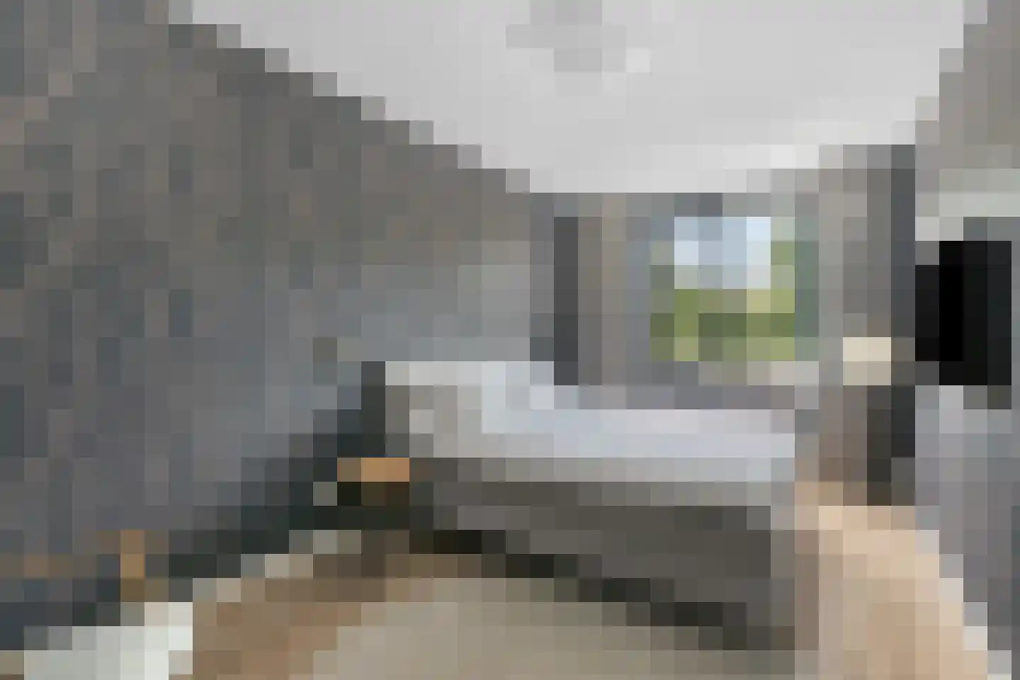 Klaproos 13 Ouderkerk aan de Amstel thumbnail 32