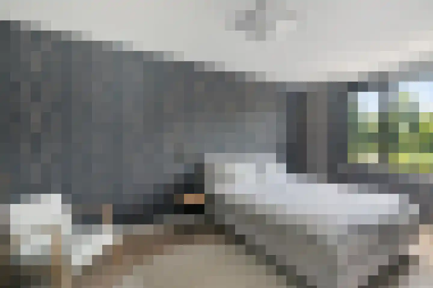 Klaproos 13 Ouderkerk aan de Amstel thumbnail 34