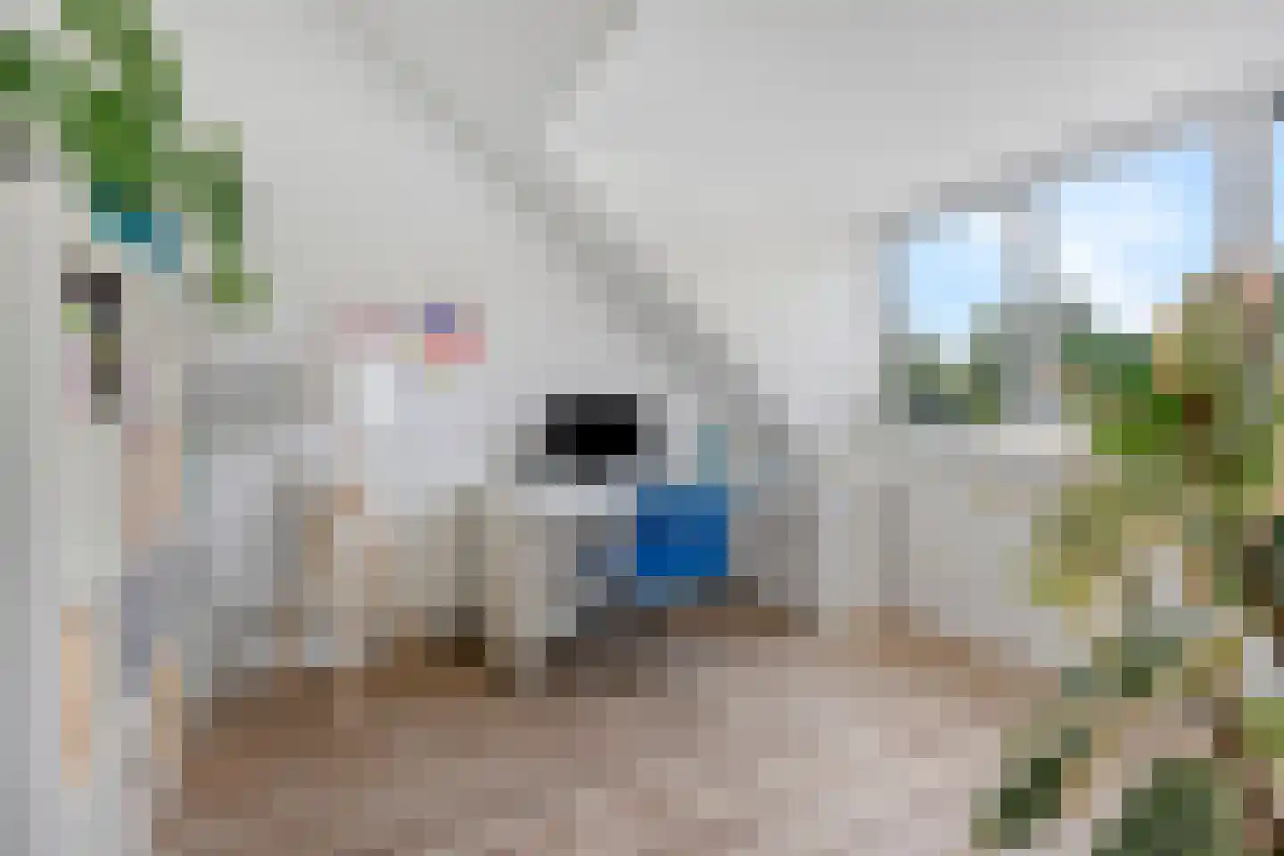 Klaproos 13 Ouderkerk aan de Amstel thumbnail 39
