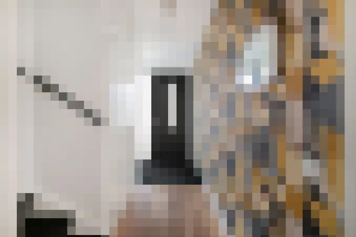 Klaproos 13 Ouderkerk aan de Amstel thumbnail 4