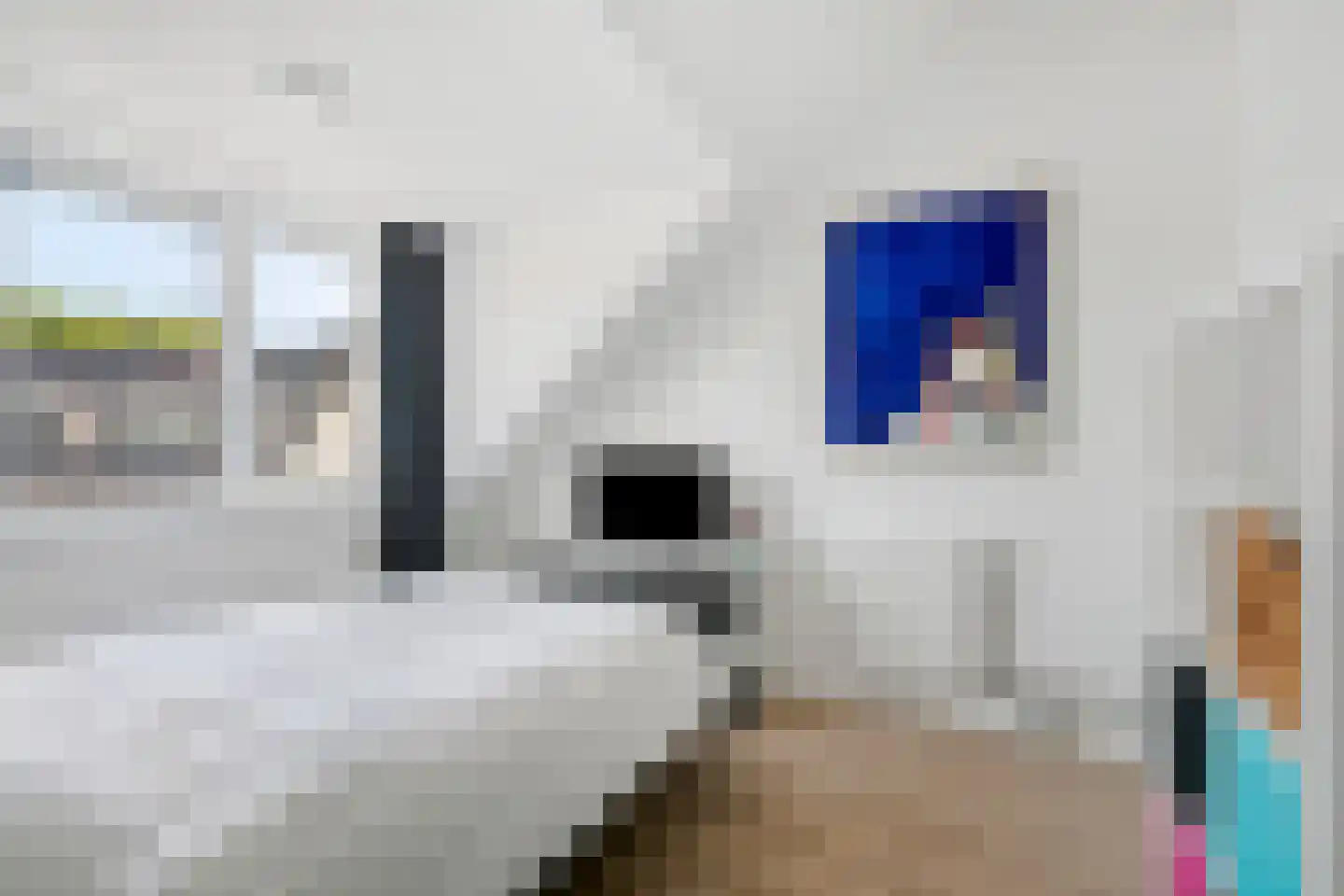 Klaproos 13 Ouderkerk aan de Amstel thumbnail 42