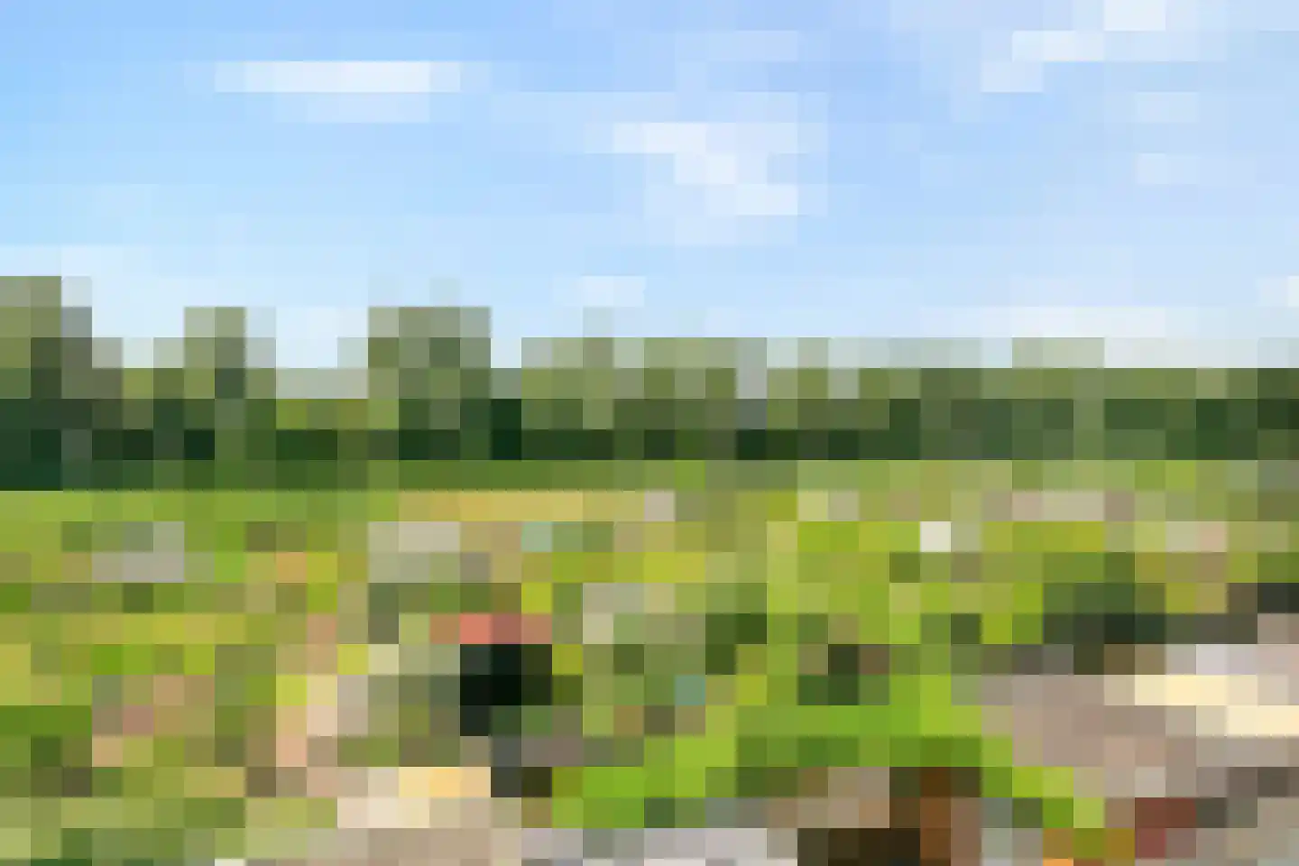 Klaproos 13 Ouderkerk aan de Amstel thumbnail 44