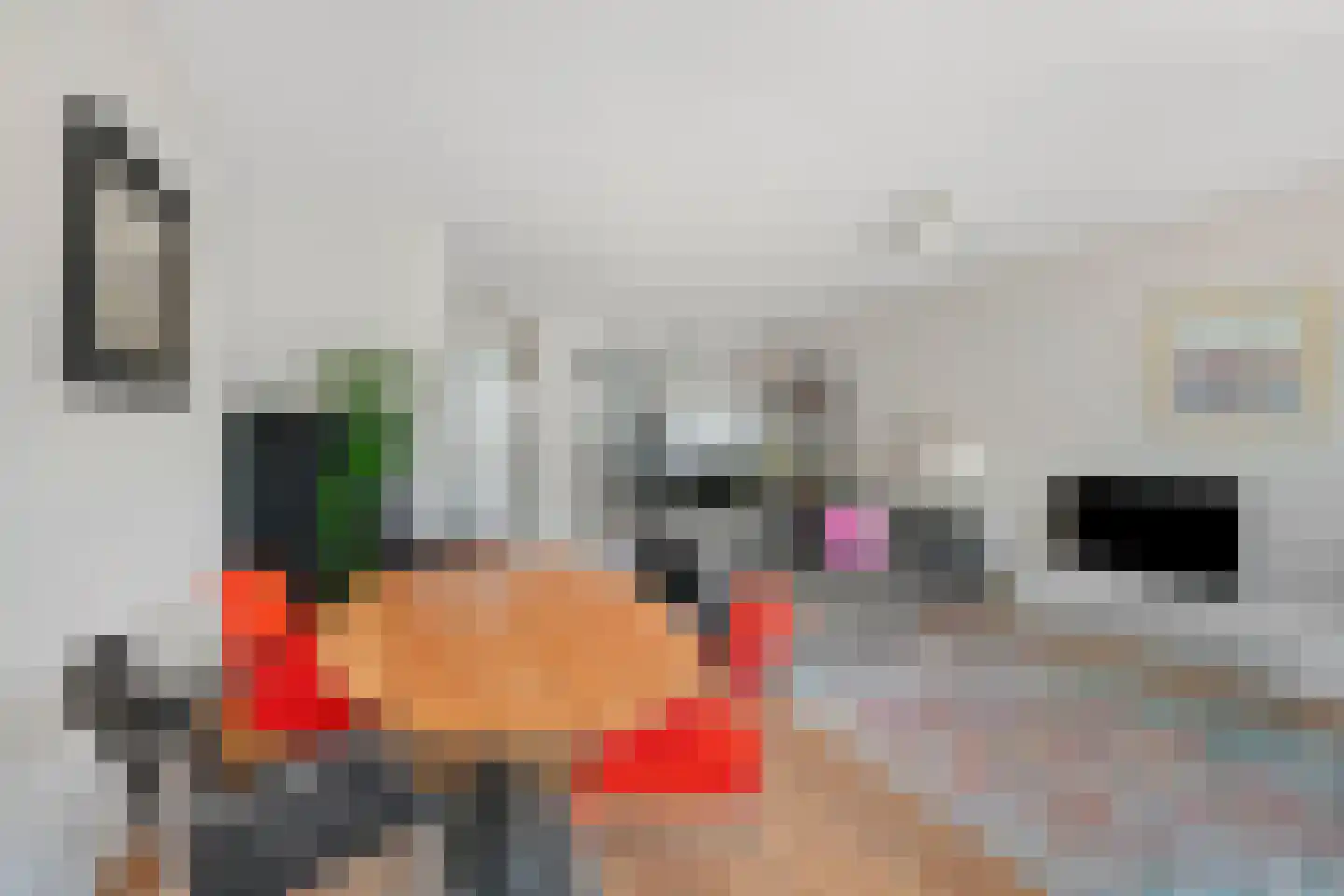 Klaproos 13 Ouderkerk aan de Amstel thumbnail 7