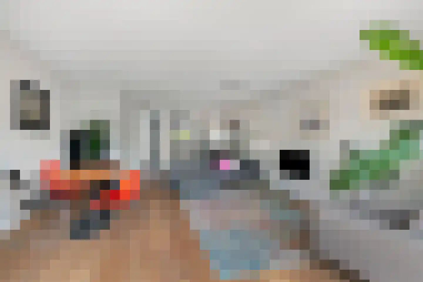 Klaproos 13 Ouderkerk aan de Amstel thumbnail 8
