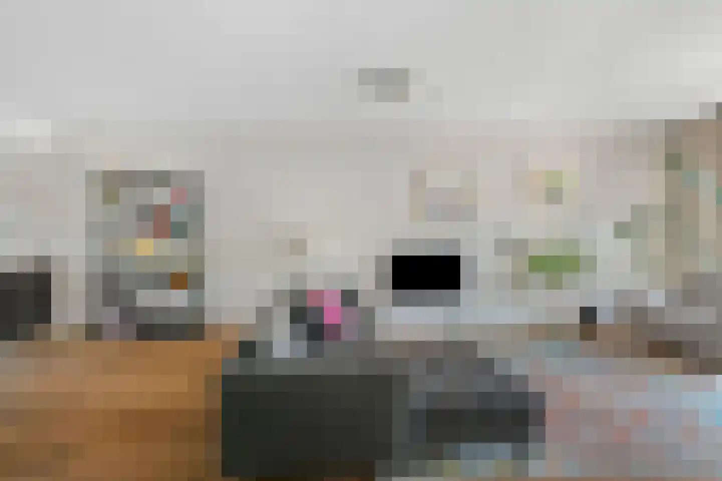 Klaproos 13 Ouderkerk aan de Amstel thumbnail 9