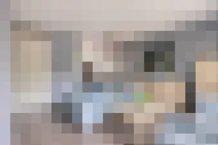 Klaproos 14 Dongen thumbnail 12