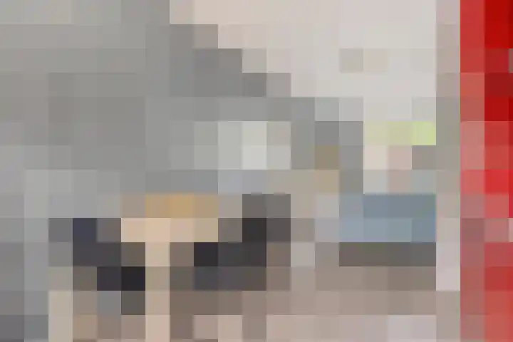 Klaproos 14 Dongen thumbnail 14
