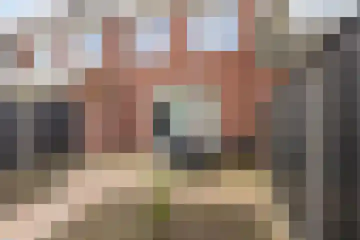 Klaproos 14 Dongen thumbnail 25