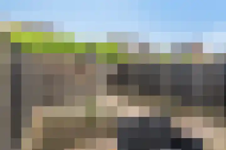 Klaproos 14 Dongen thumbnail 26