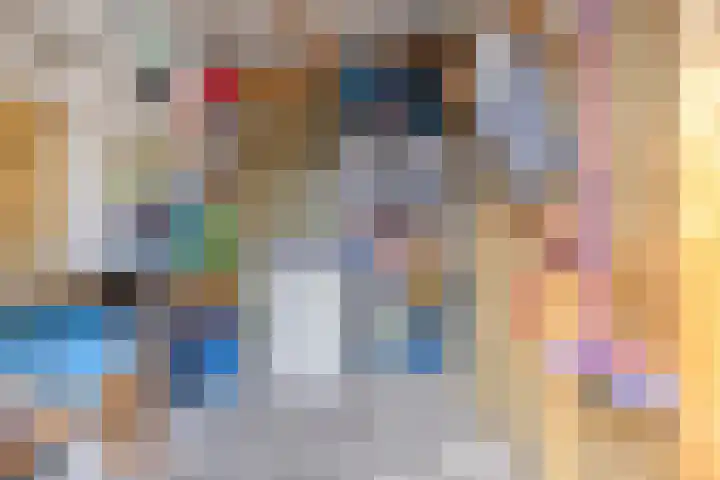 Klaproos 14 Dongen thumbnail 31