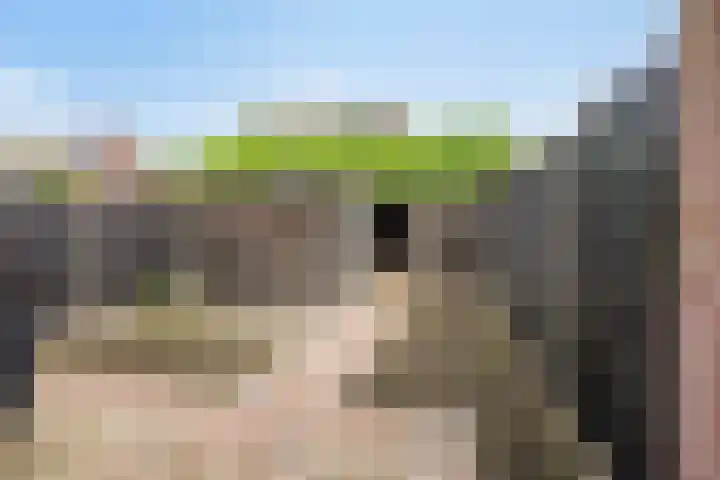 Klaproos 14 Dongen thumbnail 6