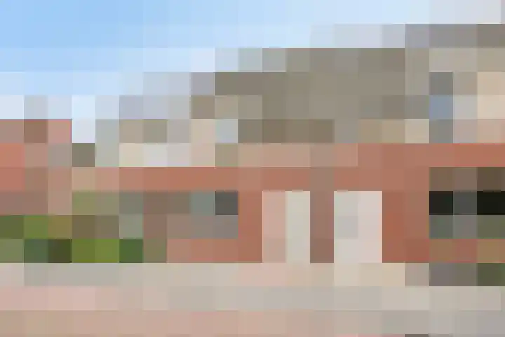 Klaproos 14 Dongen thumbnail 7
