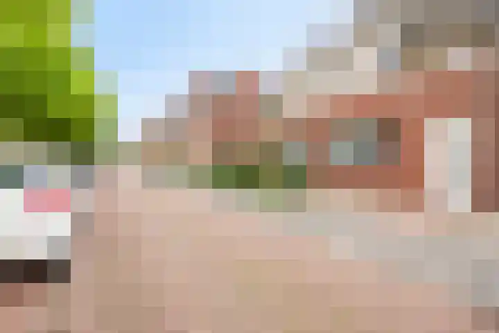 Klaproos 14 Dongen thumbnail 8