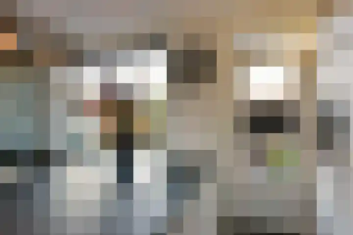 Klaproos 15 Zwaag thumbnail 10