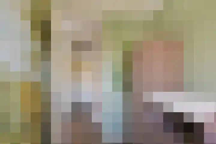 Klaproos 15 Zwaag thumbnail 12