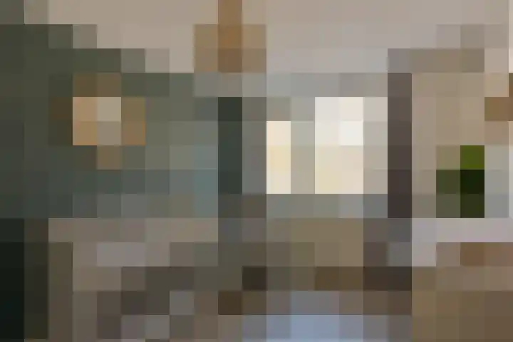 Klaproos 15 Zwaag thumbnail 14