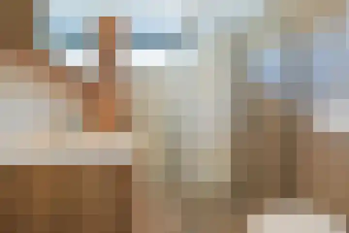 Klaproos 15 Zwaag thumbnail 16