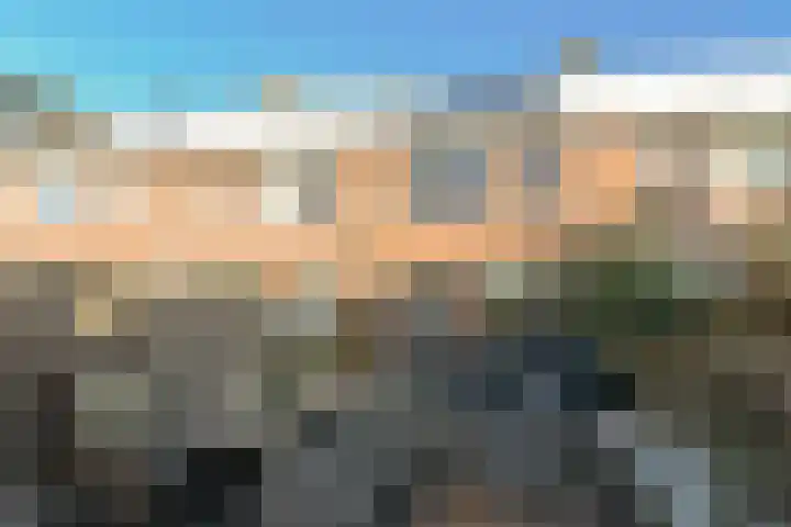 Klaproos 15 Zwaag thumbnail 19