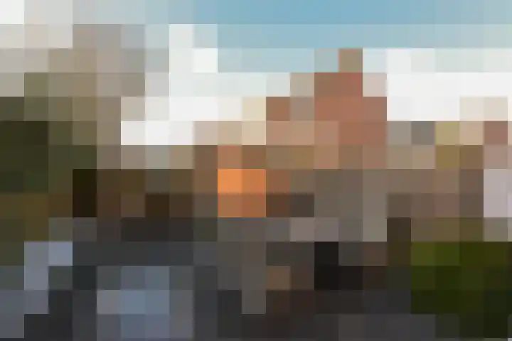 Klaproos 15 Zwaag thumbnail 20