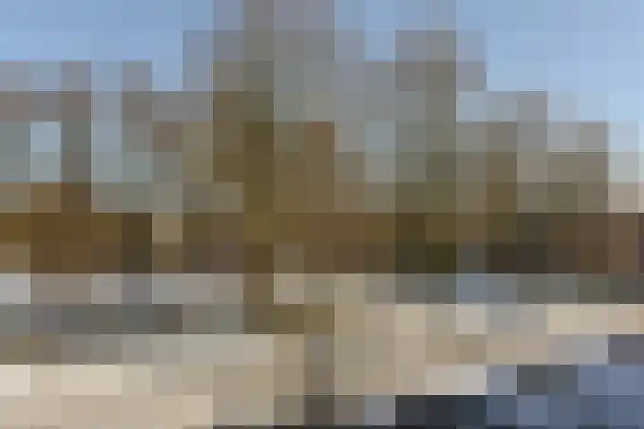 Klaproos 15 Zwaag thumbnail 21