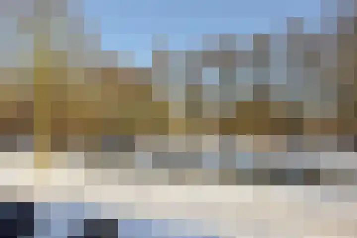Klaproos 15 Zwaag thumbnail 22