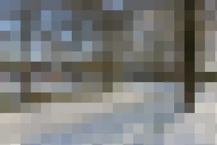 Klaproos 15 Zwaag thumbnail 23