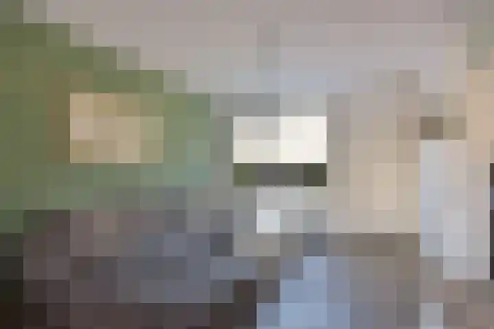 Klaproos 15 Zwaag thumbnail 4
