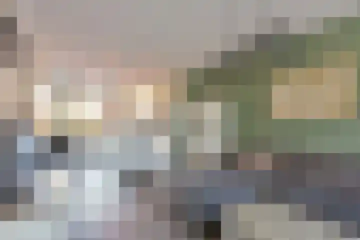 Klaproos 15 Zwaag thumbnail 5
