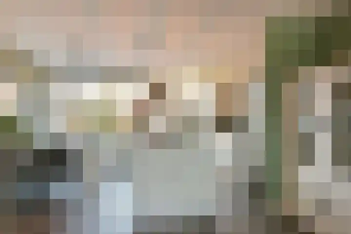 Klaproos 15 Zwaag thumbnail 6