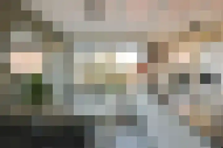 Klaproos 15 Zwaag thumbnail 7