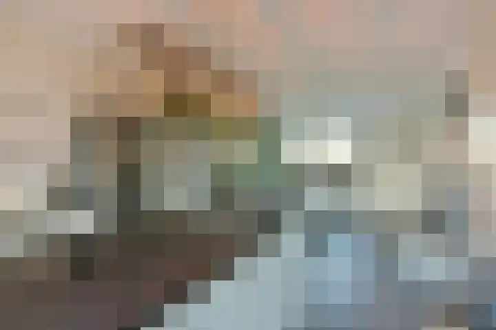 Klaproos 15 Zwaag thumbnail 8