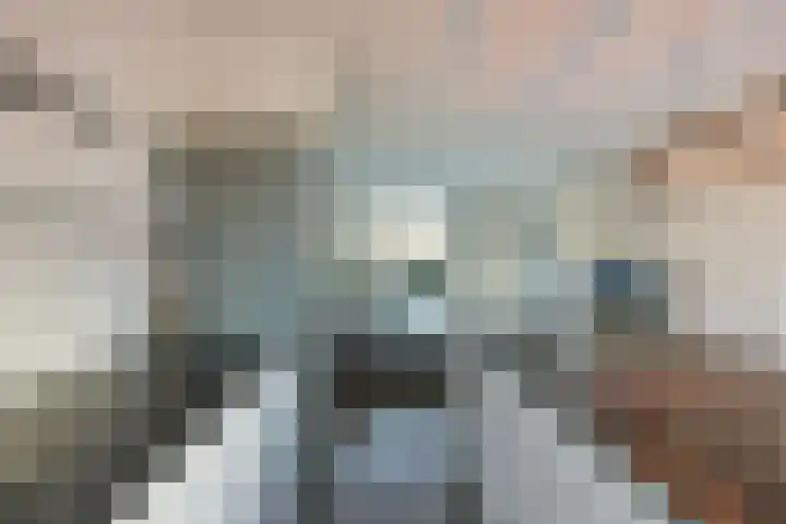 Klaproos 15 Zwaag thumbnail 9