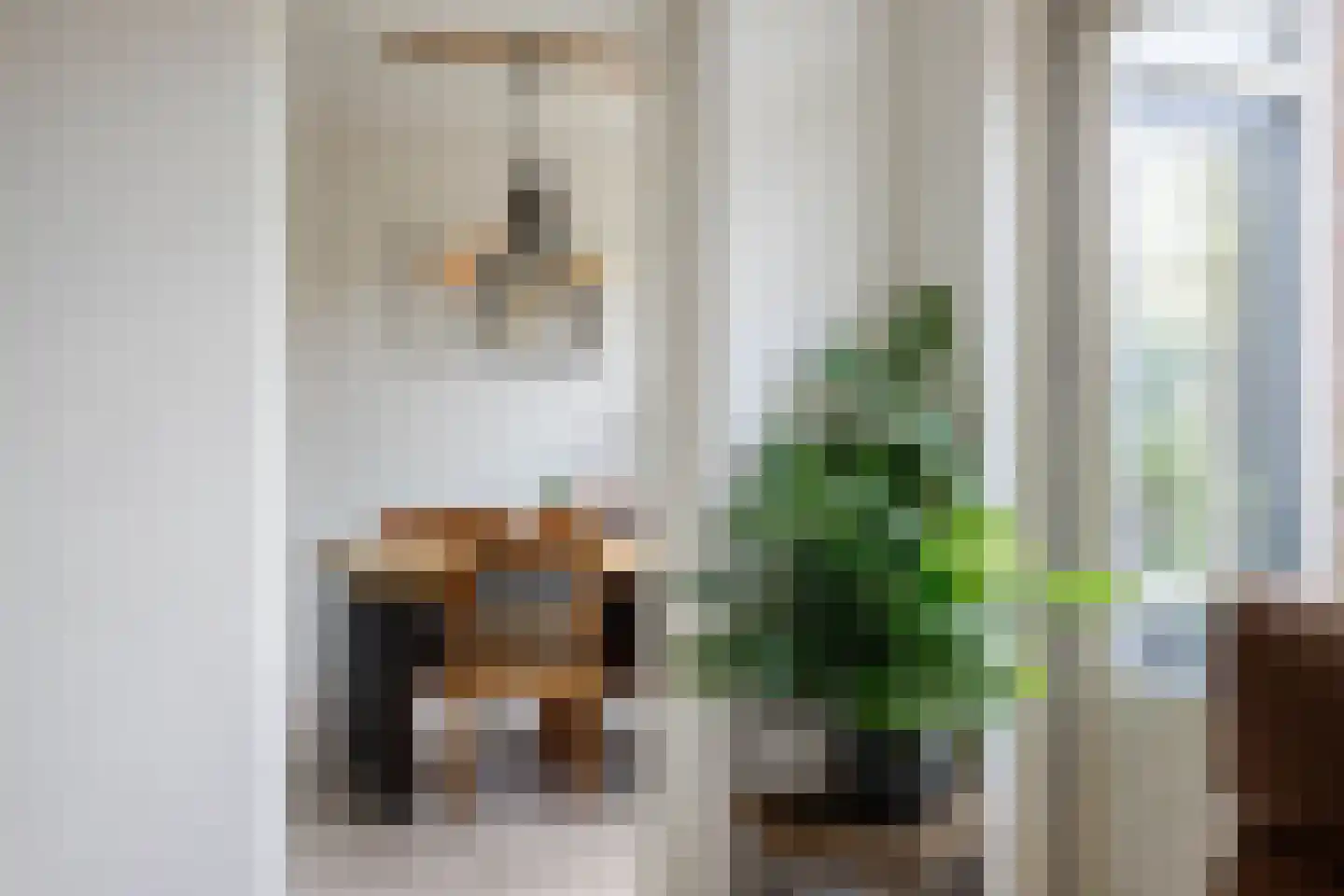 Klaproos 17 Bergambacht thumbnail 13