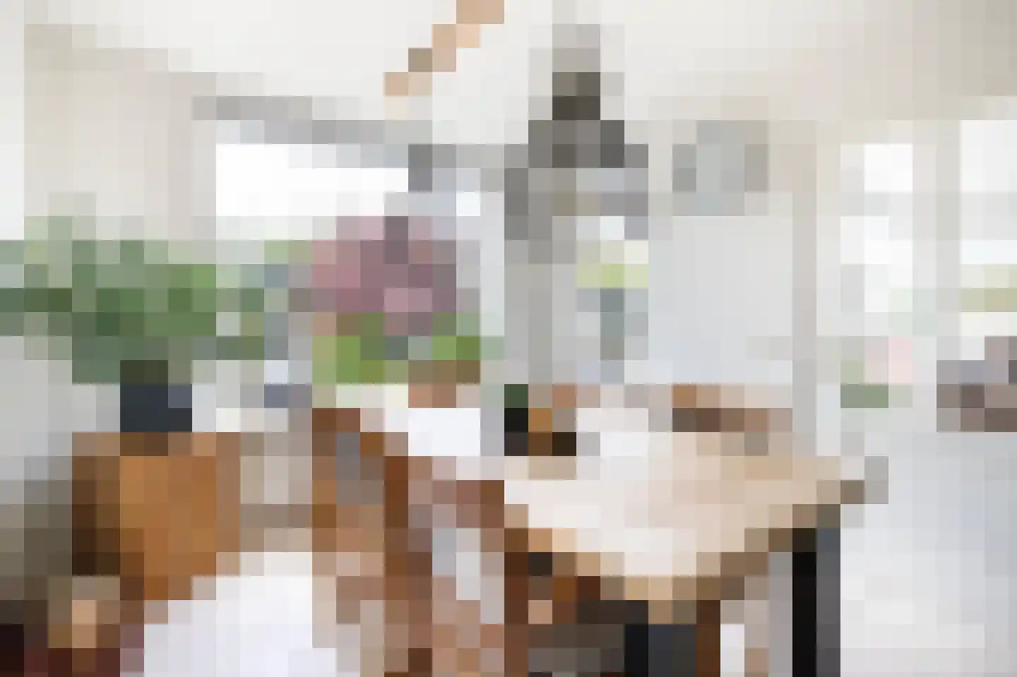 Klaproos 17 Bergambacht thumbnail 15