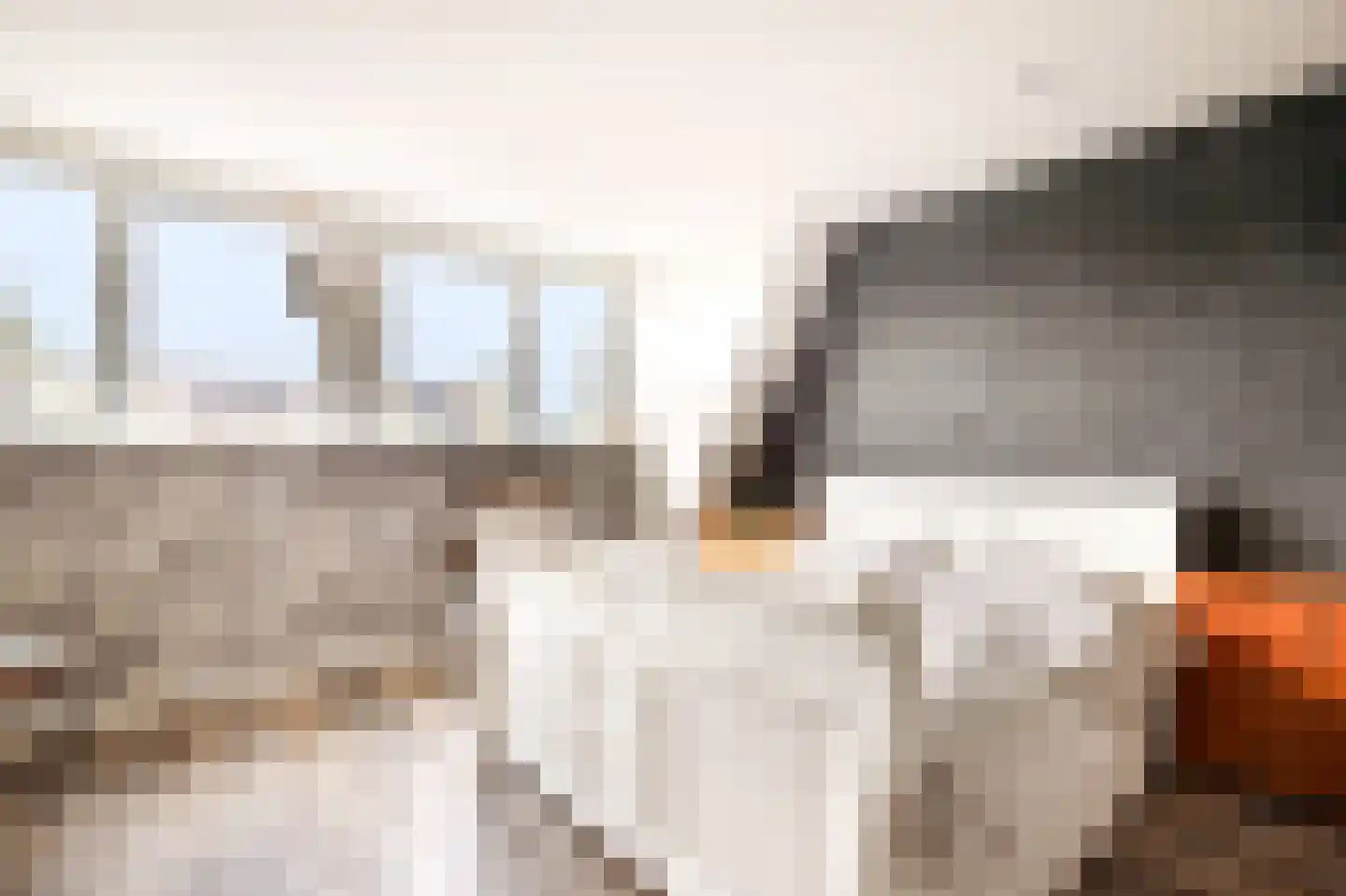 Klaproos 17 Bergambacht thumbnail 19