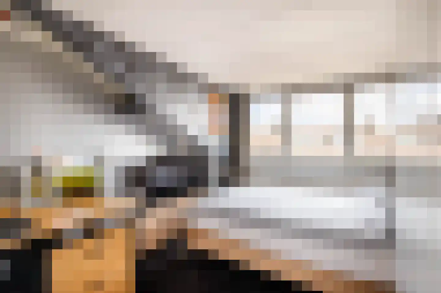 Klaproos 17 Bergambacht thumbnail 26