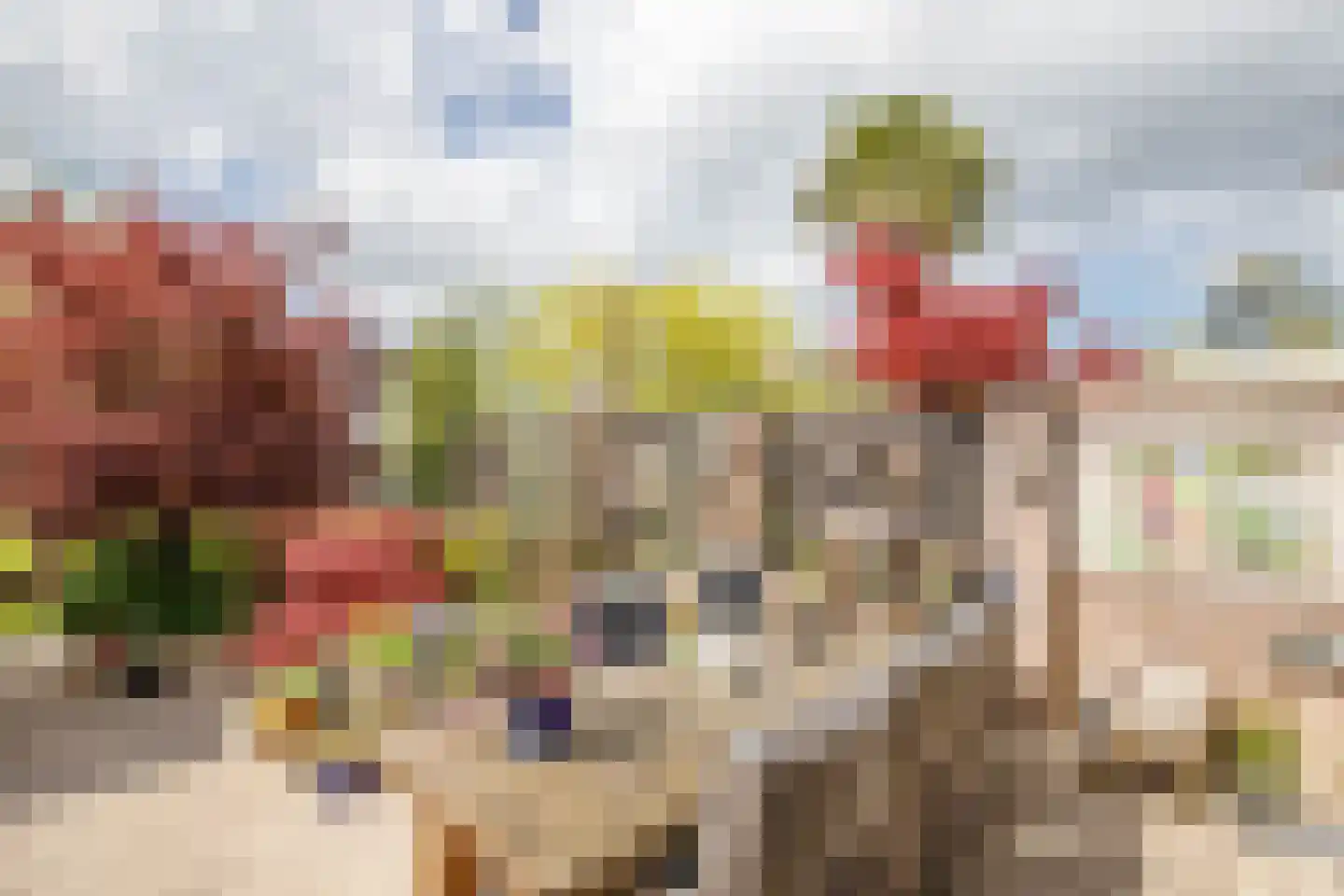 Klaproos 17 Bergambacht thumbnail 30