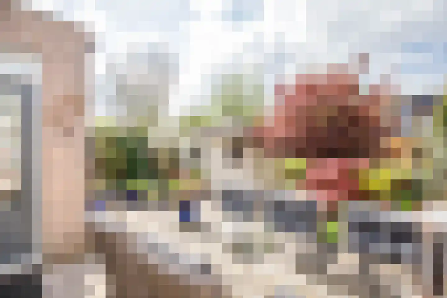 Klaproos 17 Bergambacht thumbnail 31