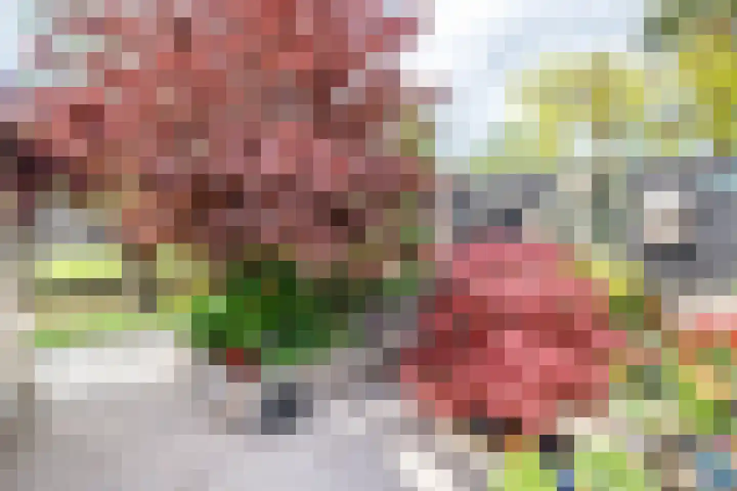 Klaproos 17 Bergambacht thumbnail 34