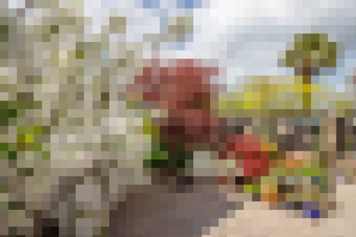 Klaproos 17 Bergambacht thumbnail 35